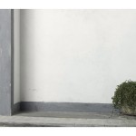 Wand7